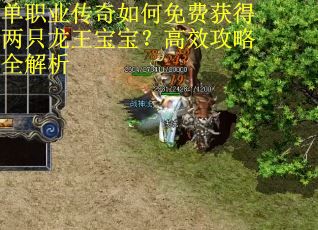 单职业传奇如何免费获得两只龙王宝宝？高效攻略全解析