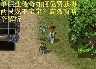 单职业传奇如何免费获得两只龙王宝宝？高效攻略全解析