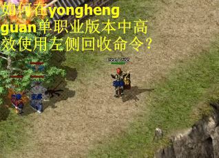 如何在yonghengguan单职业版本中高效使用左侧回收命令？