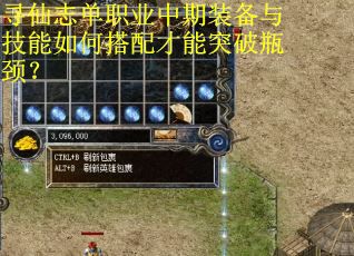 寻仙志单职业中期装备与技能如何搭配才能突破瓶颈？