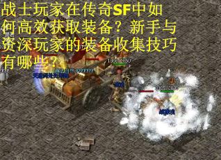 战士玩家在传奇SF中如何高效获取装备？新手与资深玩家的装备收集技巧有哪些？