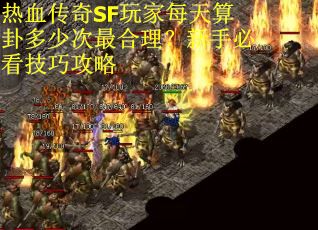 热血传奇SF玩家每天算卦多少次最合理？新手必看技巧攻略