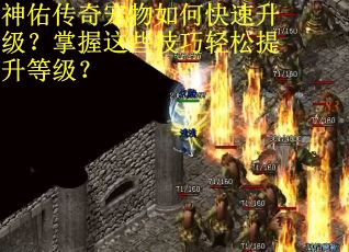 神佑传奇宠物如何快速升级？掌握这些技巧轻松提升等级？