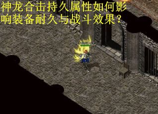 神龙合击持久属性如何影响装备耐久与战斗效果？
