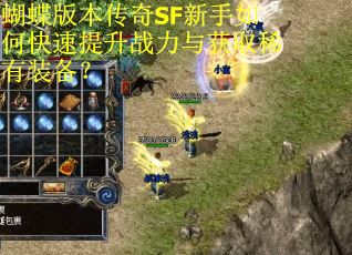 蝴蝶版本传奇SF新手如何快速提升战力与获取稀有装备？