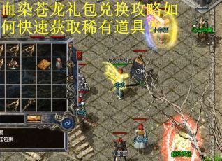 血染苍龙礼包兑换攻略如何快速获取稀有道具？